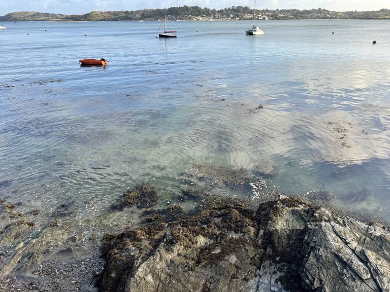 Walking and looking - 