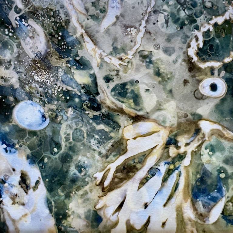 Beachcomber cyanolumen print 6 (square) - Sharon Bruster