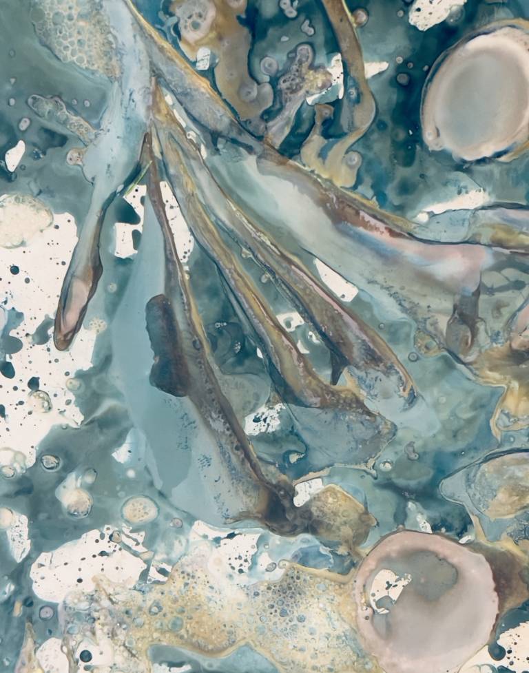 Beachcomber cyanolumen print 1 - Sharon Bruster