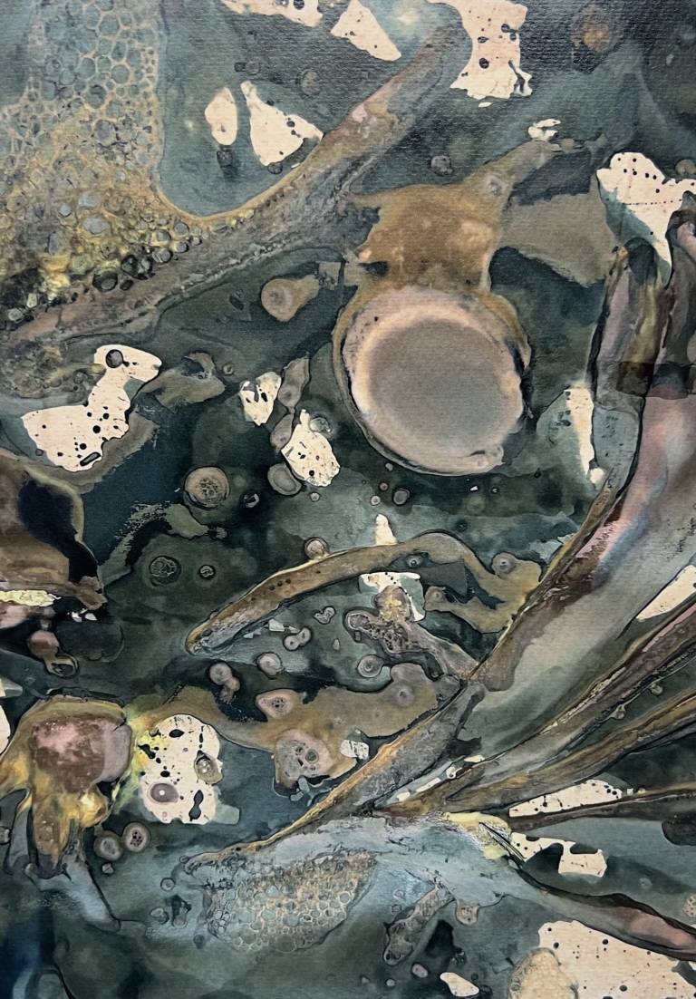 Beachcomber cyanolumen print 2 - Sharon Bruster