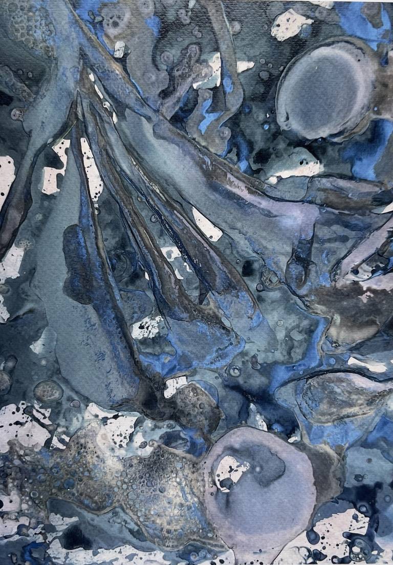 Beachcomber cyanolumen print 3 - Sharon Bruster