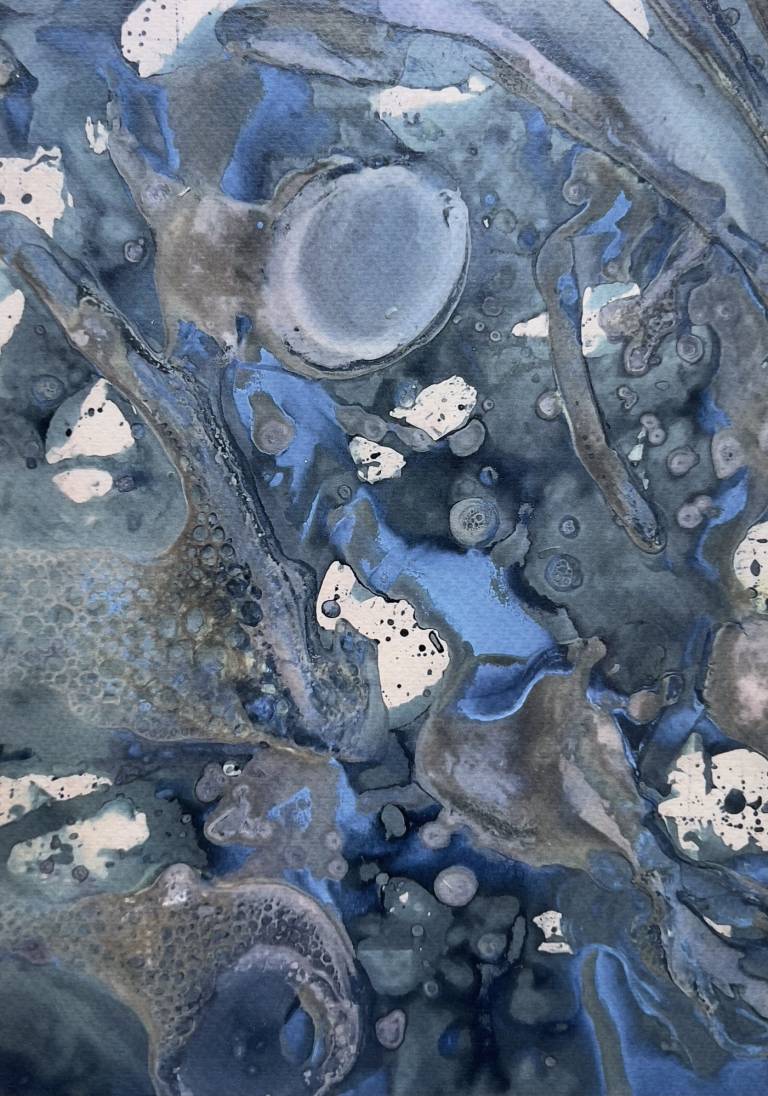 Beachcomber cyanolumen print 4 - Sharon Bruster