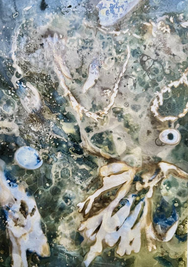 Beachcomber cyanolumen print 6 - Sharon Bruster