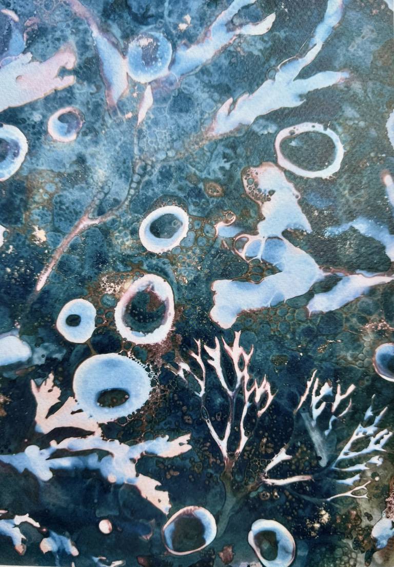 Beachcomber cyanolumen print 7 - Sharon Bruster