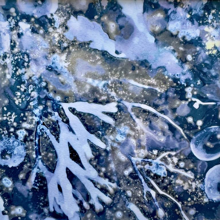 Beachcomber cyanolumen print 8 (square) - Sharon Bruster