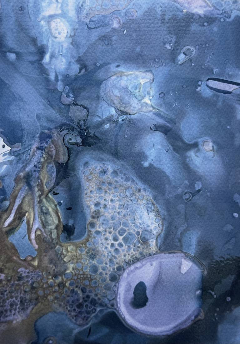 Beachcomber cyanolumen print 5 - Sharon Bruster