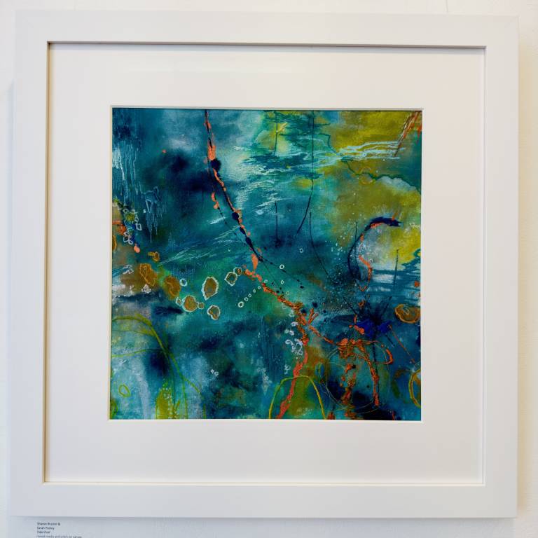 Tidal pool - Sharon Bruster