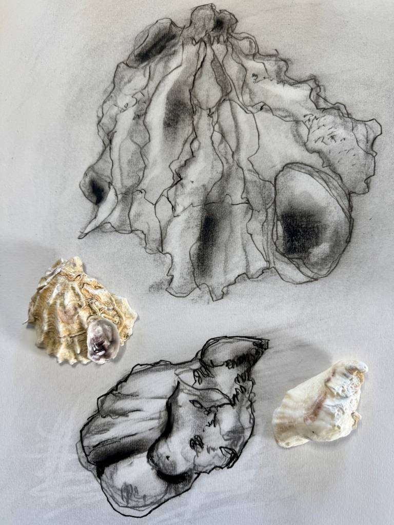 Weekly drawing group, Trevone - Sharon Bruster