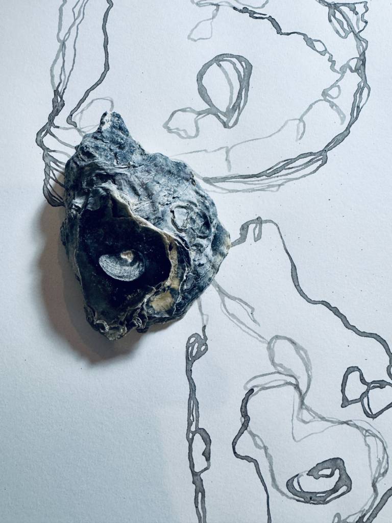 Weekly drawing group, Trevone - Sharon Bruster