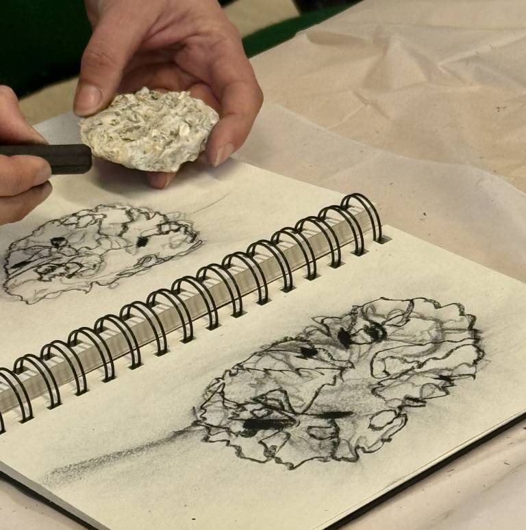 Weekly drawing group, Trevone - Sharon Bruster