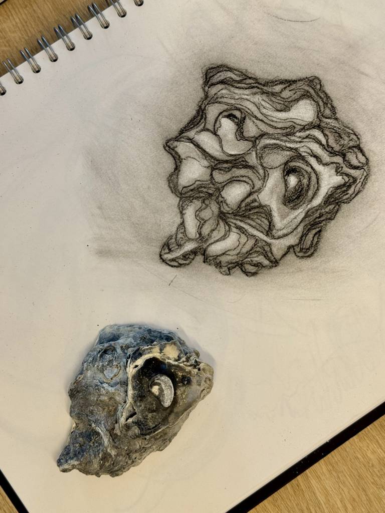 Weekly drawing group, Trevone - Sharon Bruster