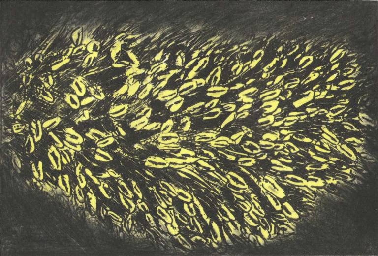 Abney Catkin: Autumn - Jennifer Gloster Kok