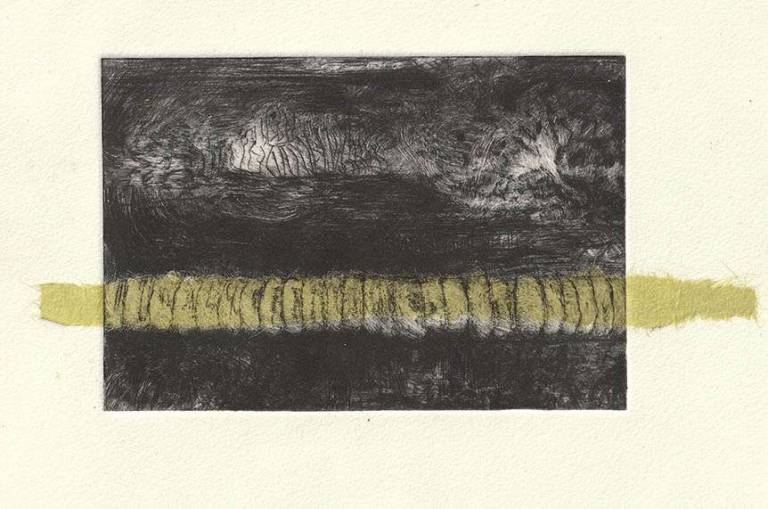 Green Fuse: Seed Pod Wintering - Jennifer Gloster Kok