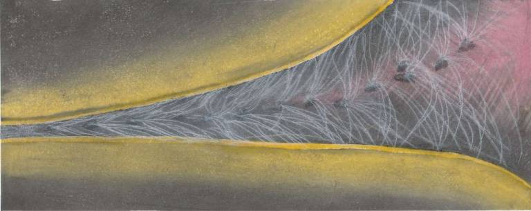 Rose Bay: Seedpod Opening - Jennifer Gloster Kok