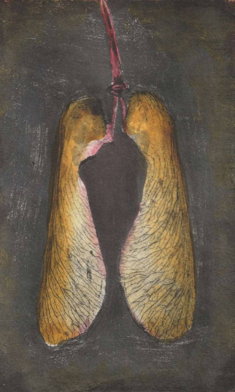 Sycamore Falling: Autumn - Jennifer Gloster Kok