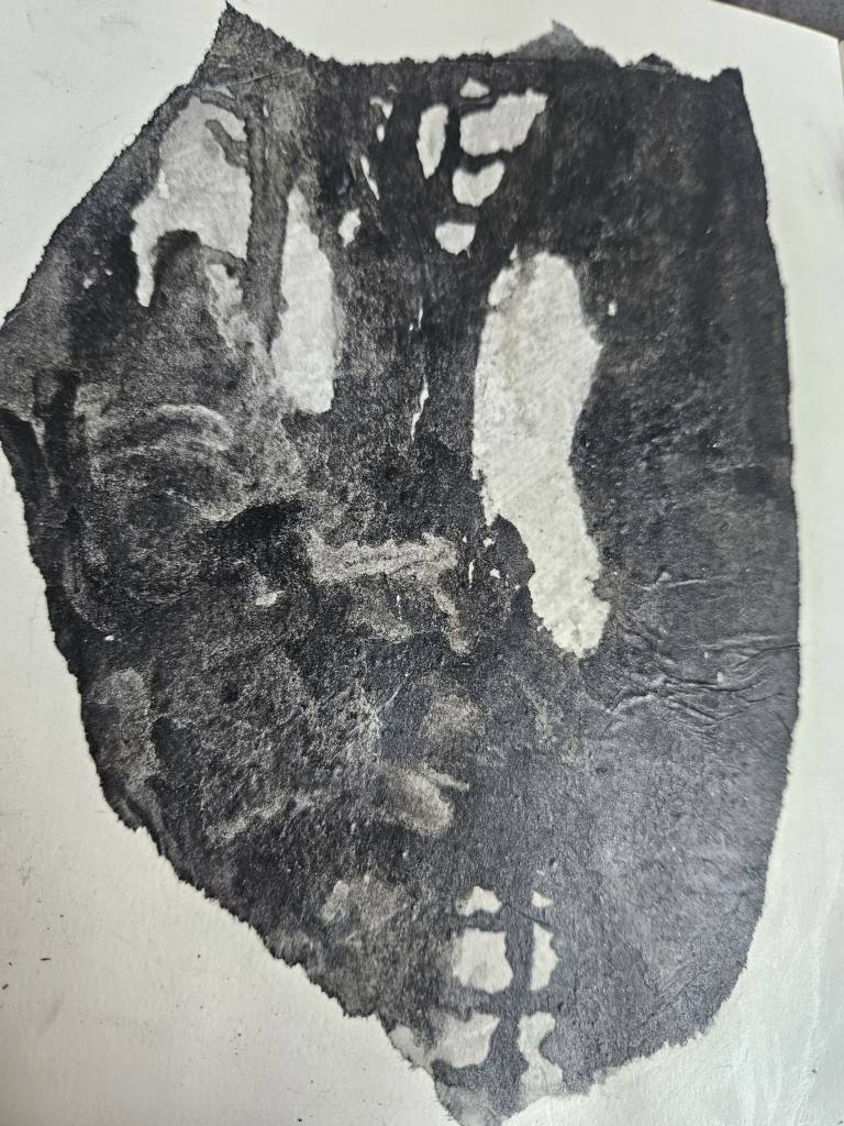 Ink and Resist - Jennifer Gloster Kok