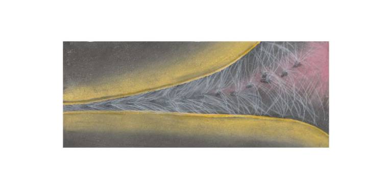 Rose Bay: Seedpod Opening - Jennifer Gloster Kok