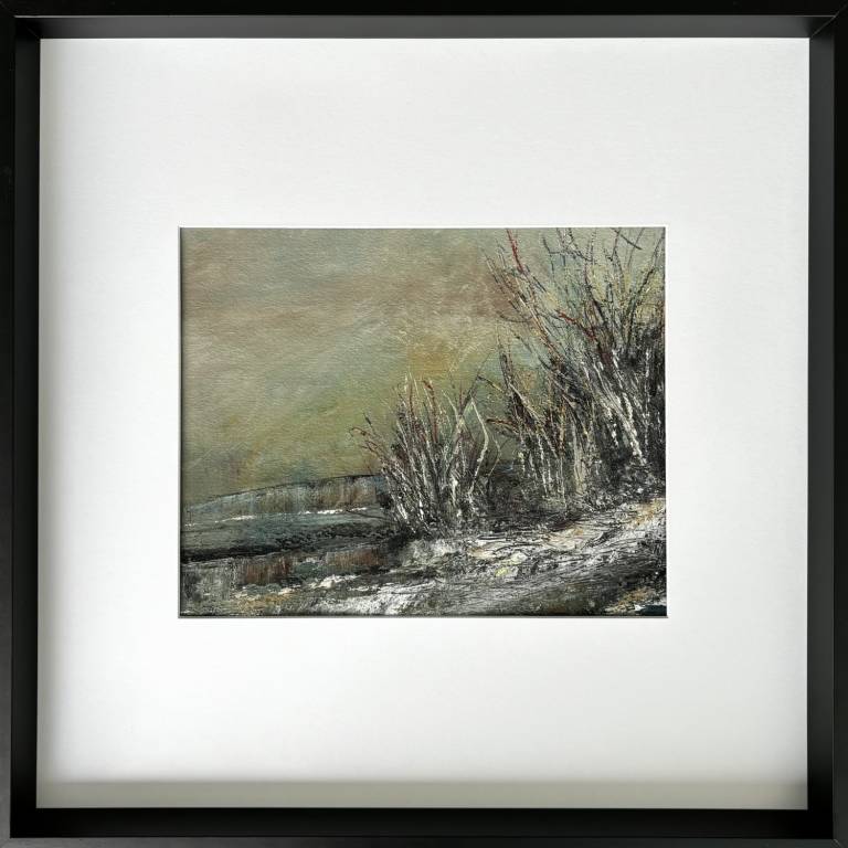 Habitat 2 - Janie Cameron