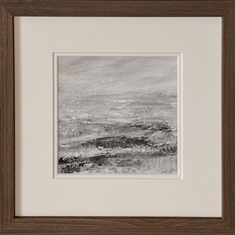 Where Silence Settles - Janie Cameron