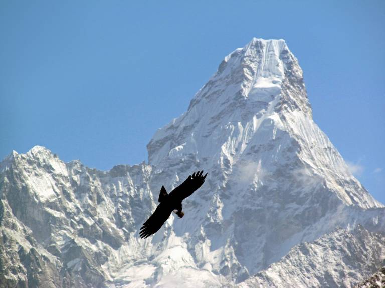 Everest Teahouse Trek Nepal - 