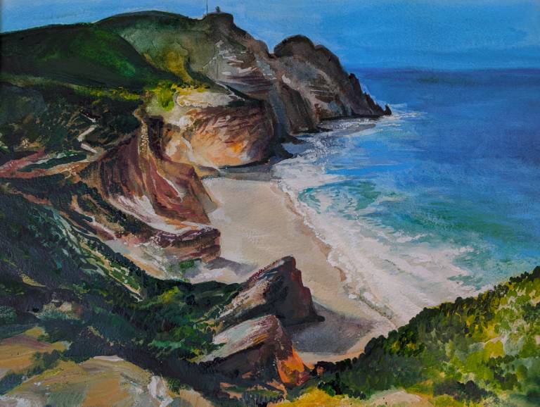 Diaz Beach and Cape point from the Cape of Good Hope, South Africa - Neil Pittaway