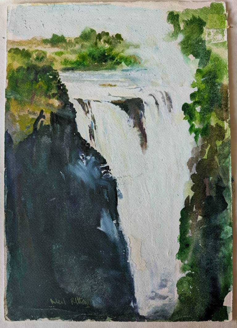 The smoke that thunders, afternoon at the Victoria Falls - Neil Pittaway