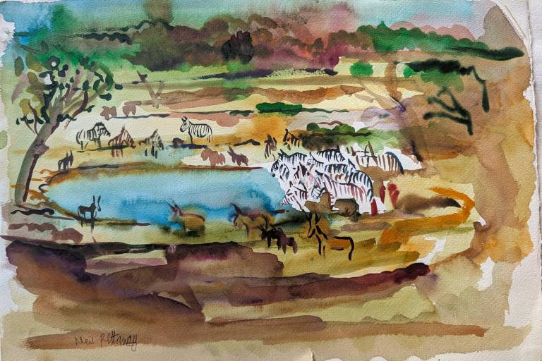 Zebras and other Wildlife at a watering hole Etosha Namibia - Neil Pittaway