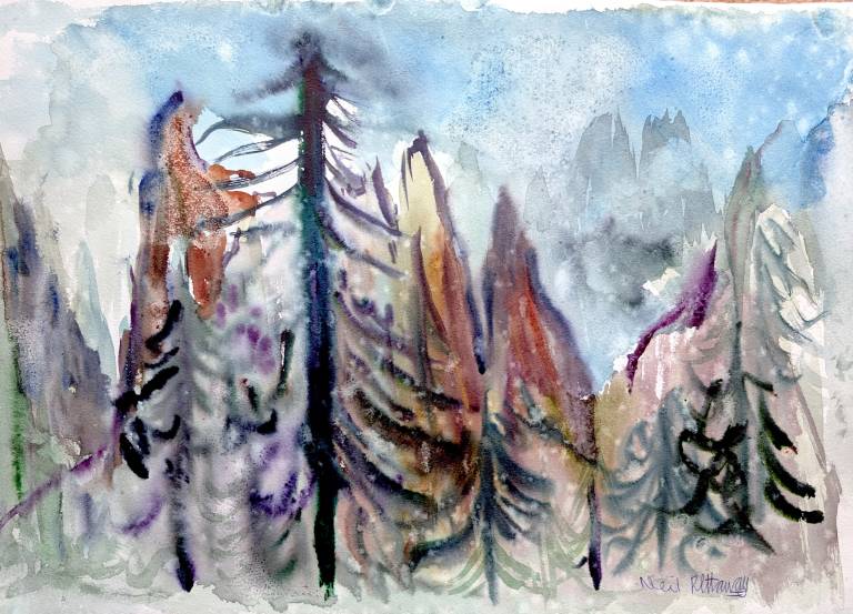 Rainy day in the Dolomites - Neil Pittaway