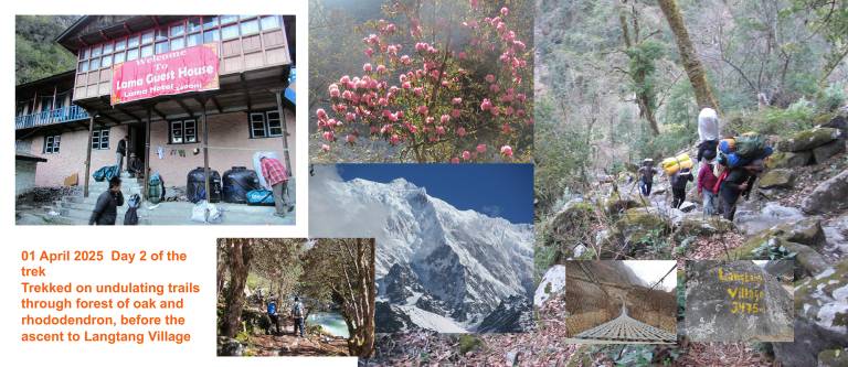 On the trail in the Langtang region of Nepal - Neil Pittaway