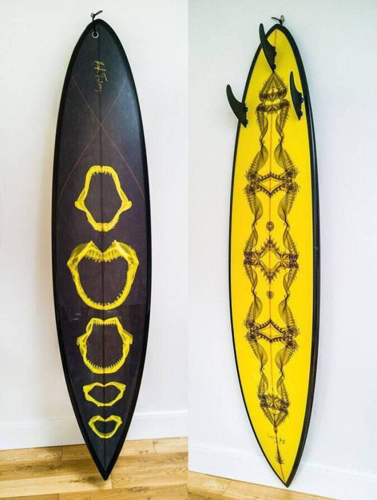 ☢ Surfboard-mounted Fibre Print - 