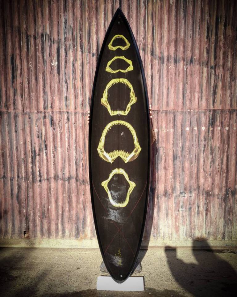 ☢ Surfboard-mounted Fibre Print - 