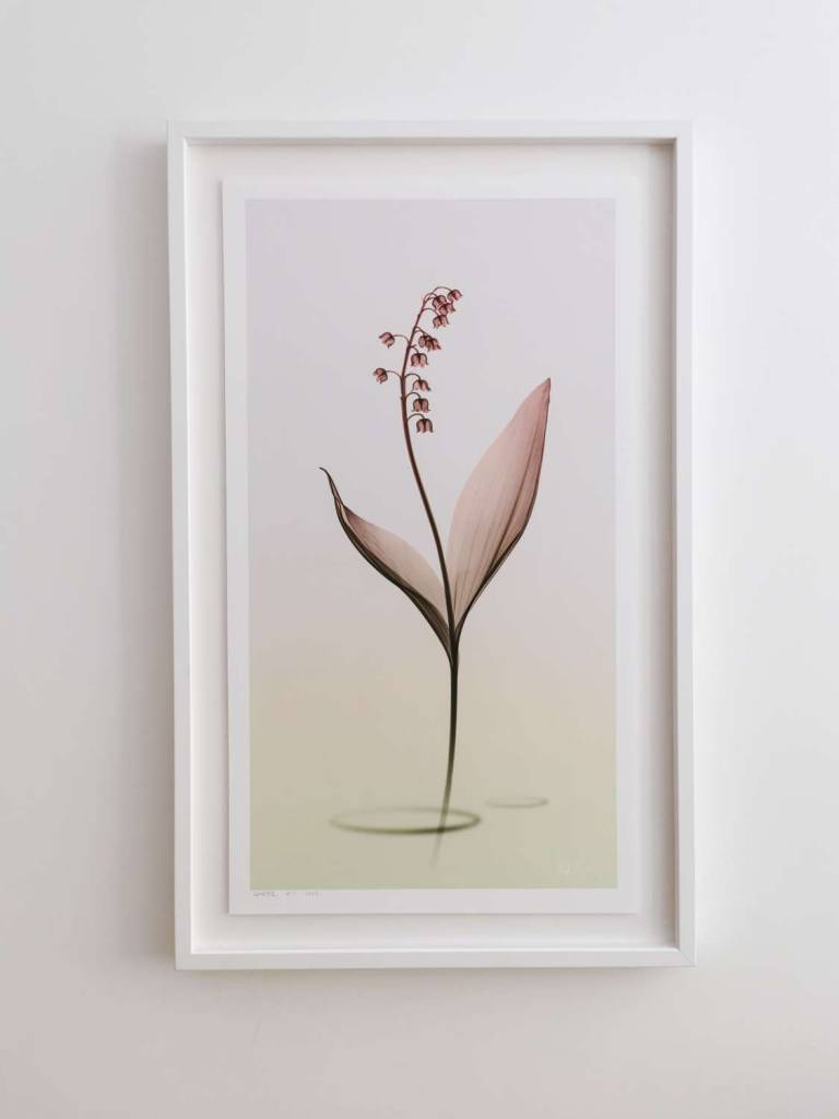 LOVEIIR #11 - Hugh Turvey