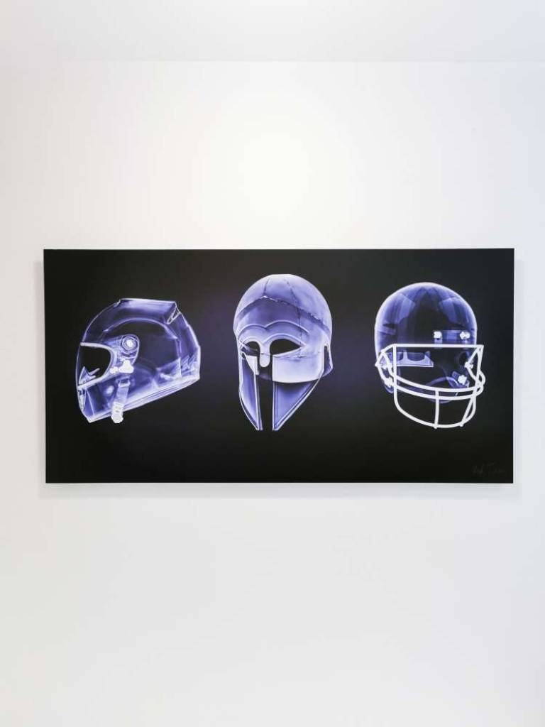 Skulls x3 - Hugh Turvey