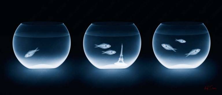 Air-Trip-Tych - Hugh Turvey