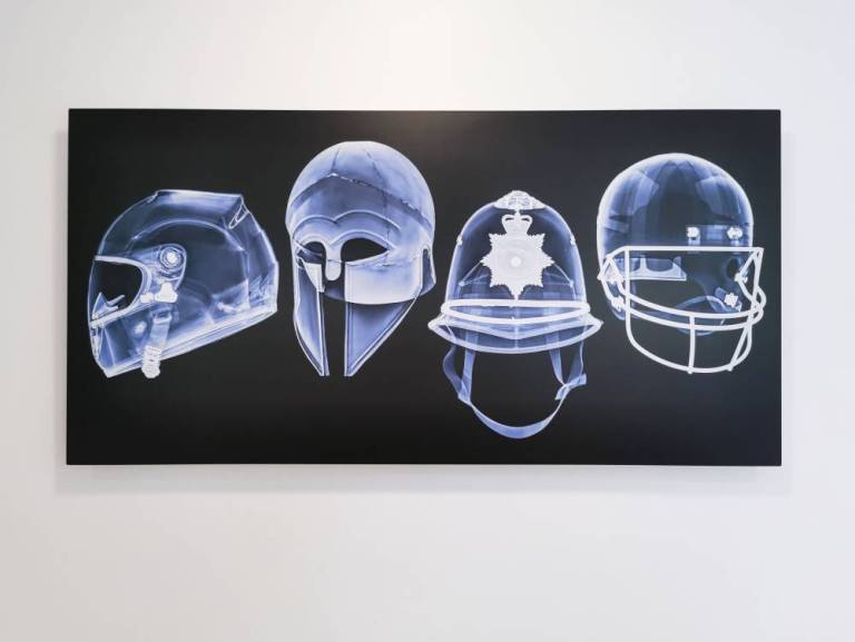 Skulls - Hugh Turvey