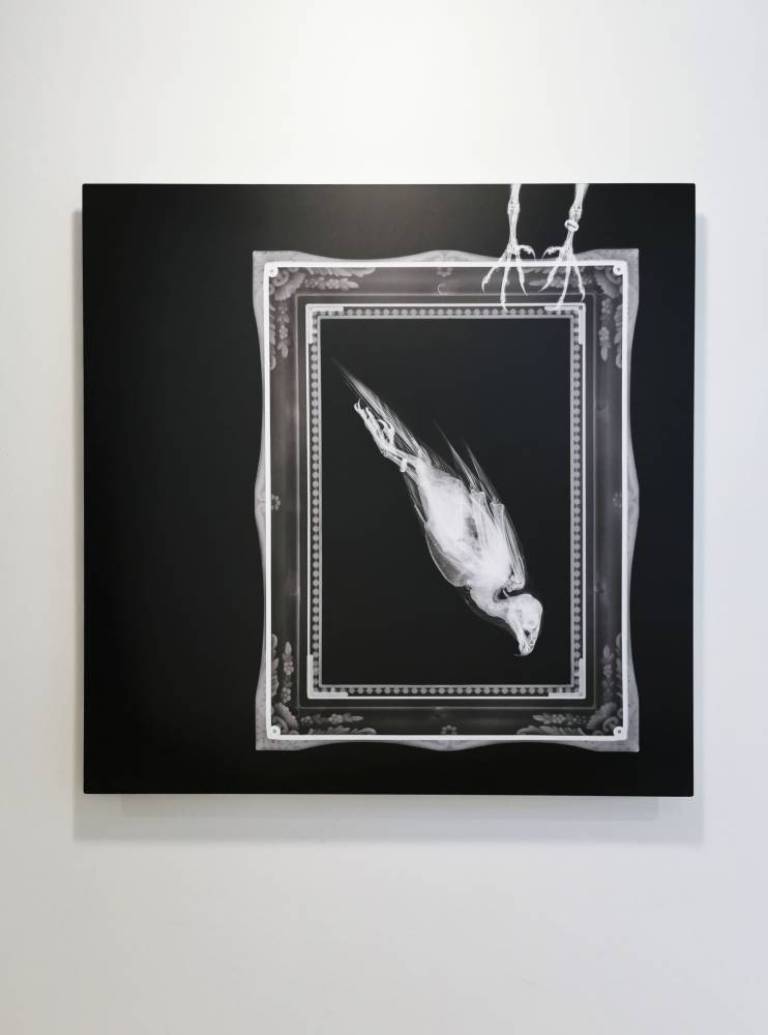 The Fastest Sagittal - Hugh Turvey