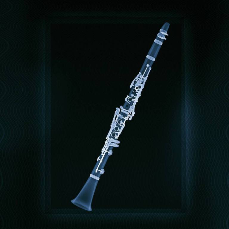 Clarinet - Hugh Turvey