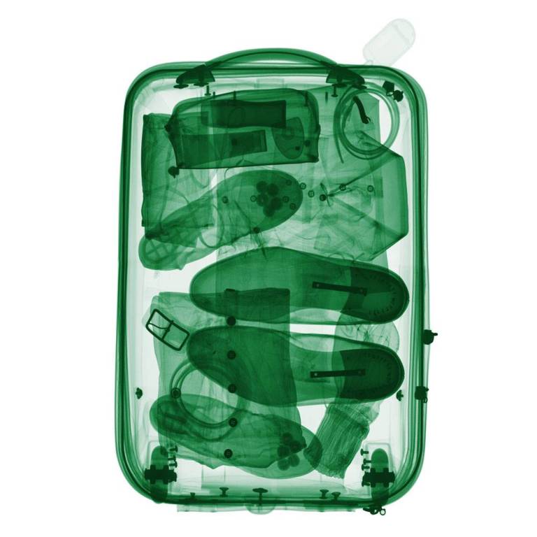 Green Bag - Hugh Turvey