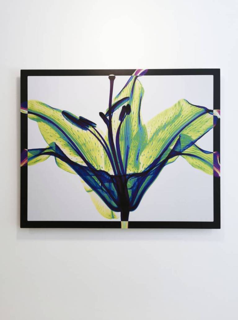 Stargazer - Hugh Turvey