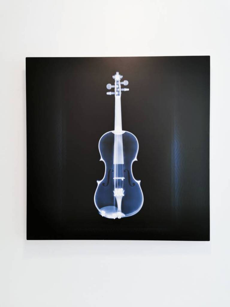 Violin - Hugh Turvey