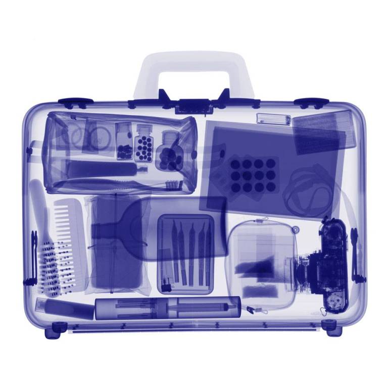 Purple Bag - Hugh Turvey