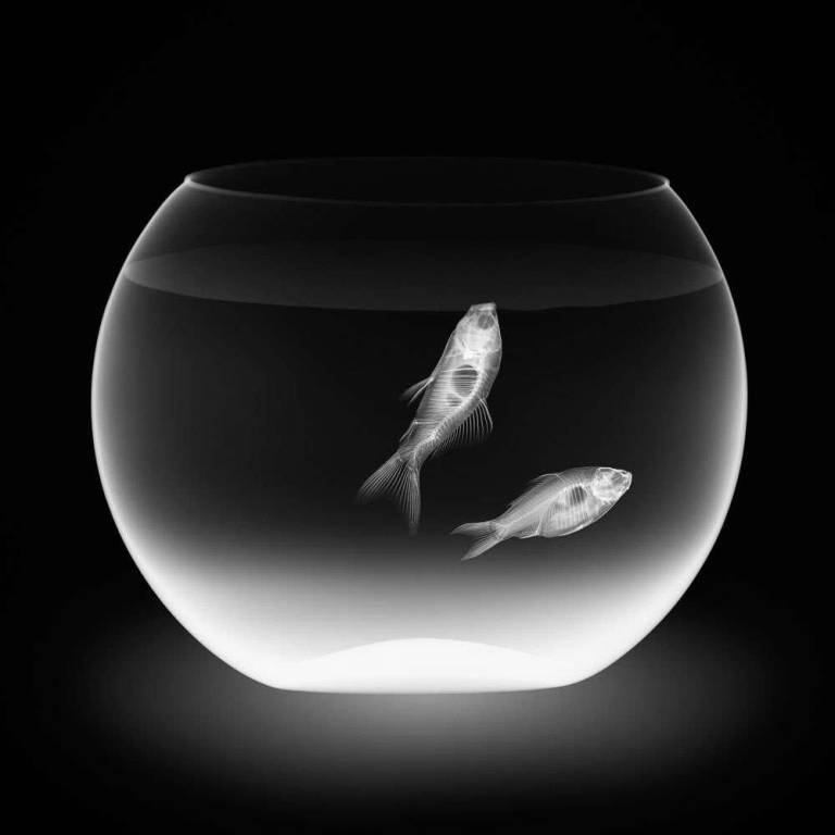 Air 2022 - Hugh Turvey