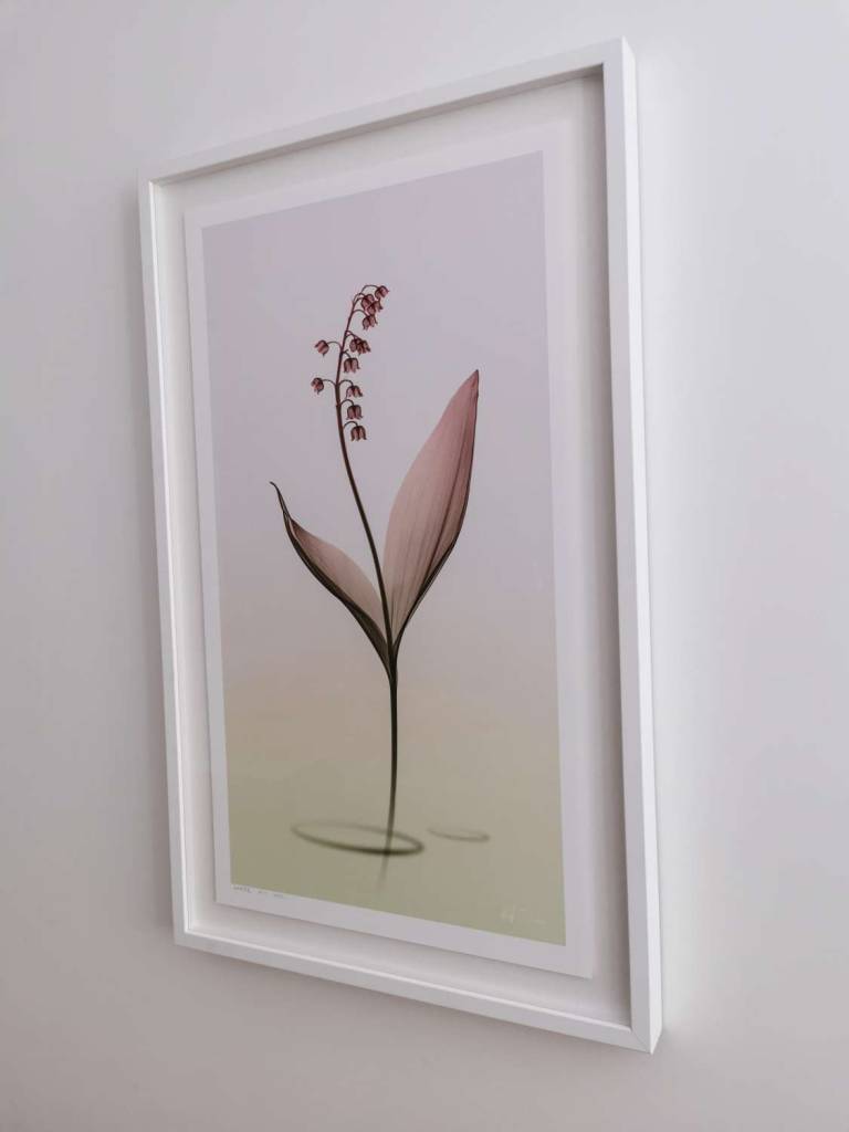 LOVEIIR #11 - Hugh Turvey