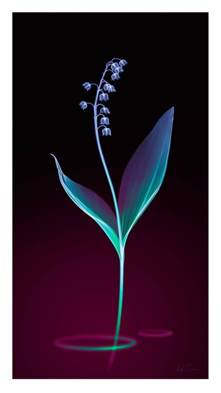 LOVEIIR #11 - Hugh Turvey