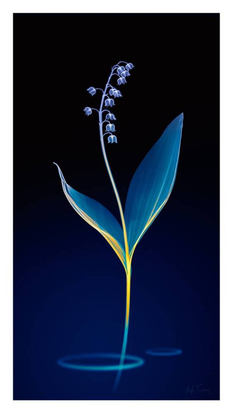 LOVEIIR #11 - Hugh Turvey