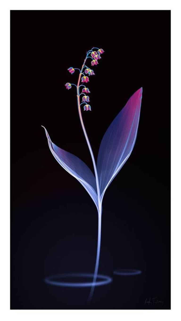 LOVEIIR #11 - Hugh Turvey