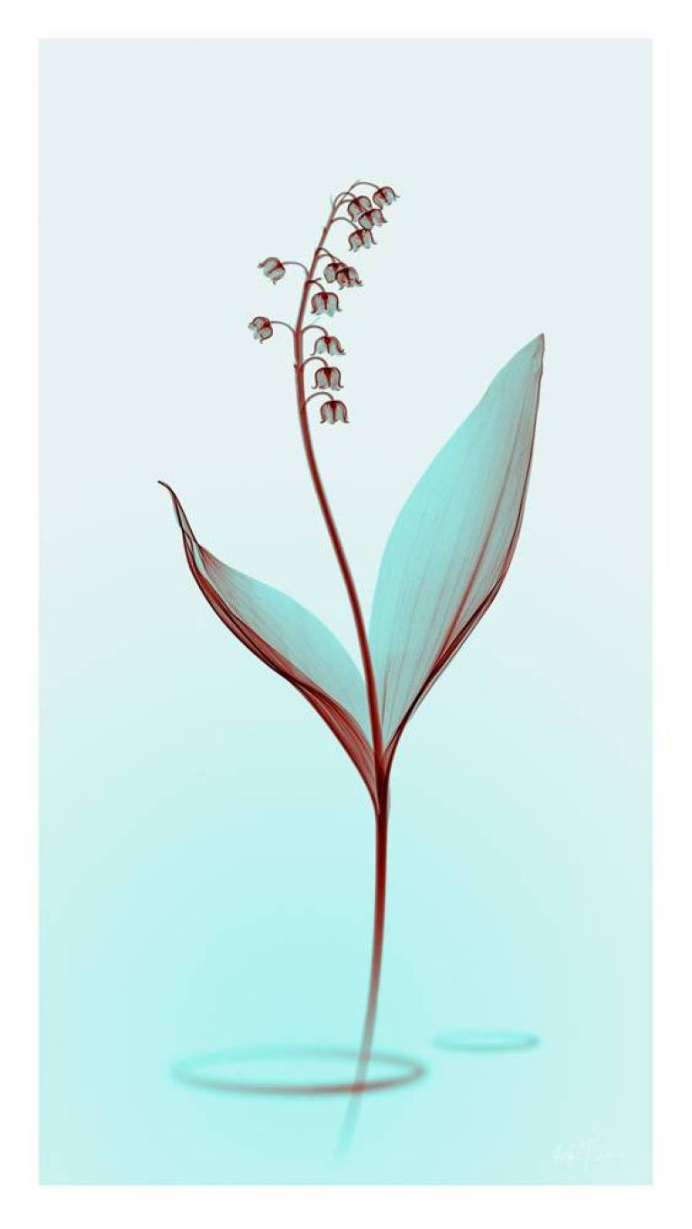 LOVEIIR #11 - Hugh Turvey