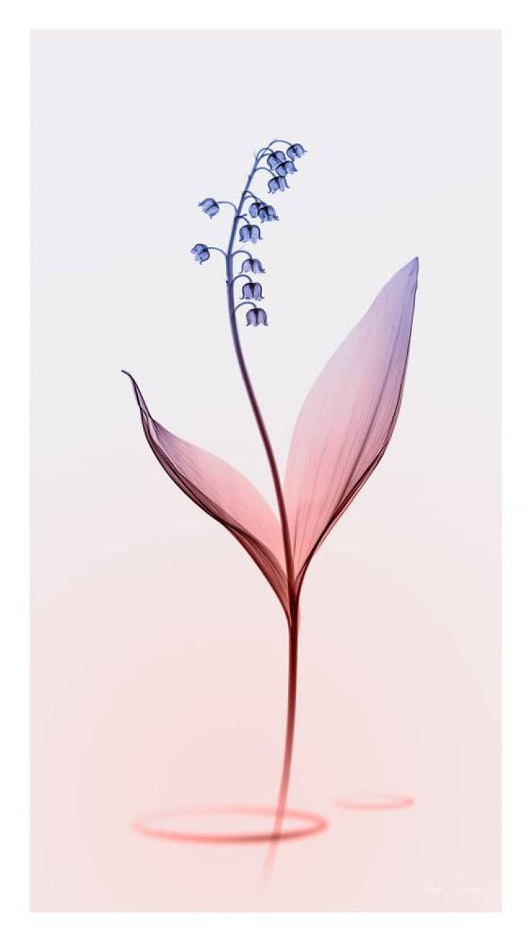 LOVEIIR #11 - Hugh Turvey