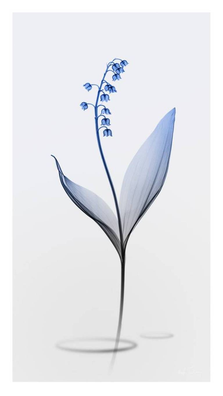 LOVEIIR #11 - Hugh Turvey