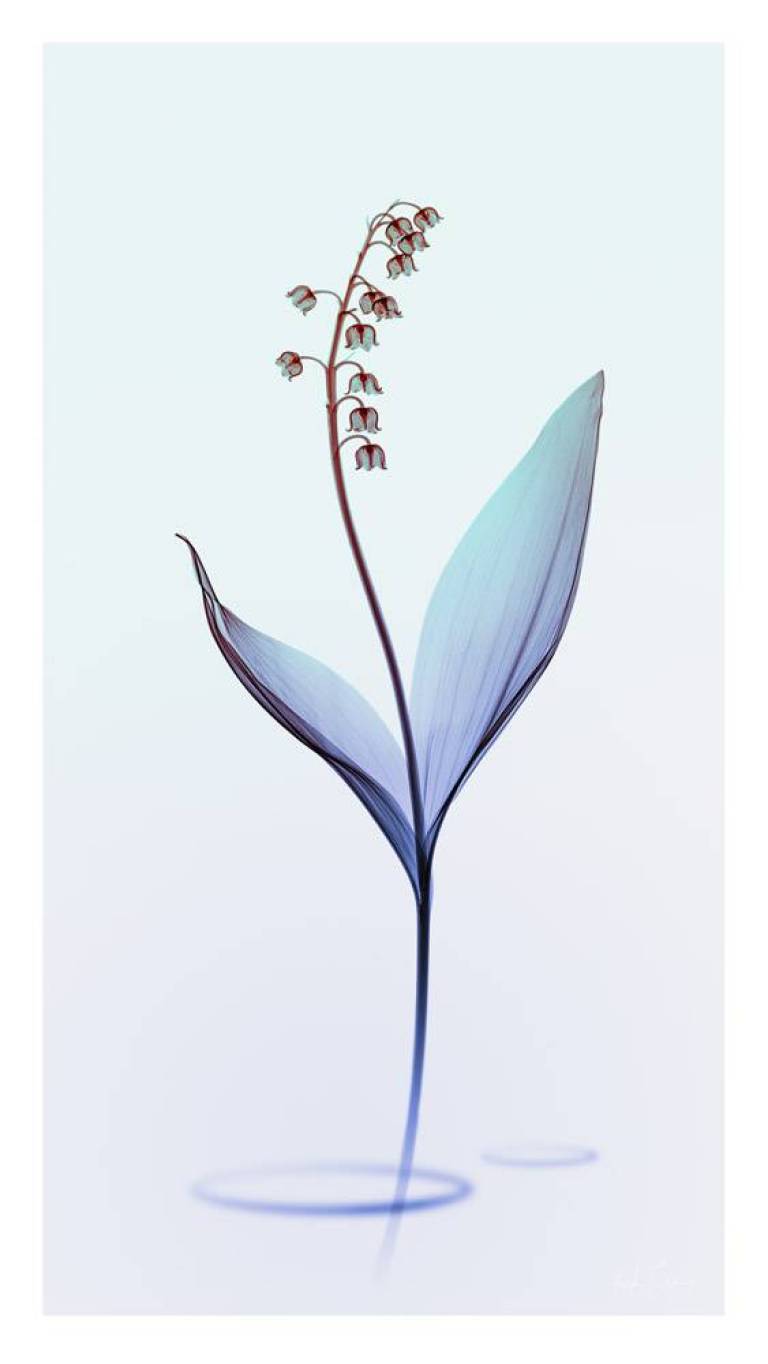 LOVEIIR #11 - Hugh Turvey